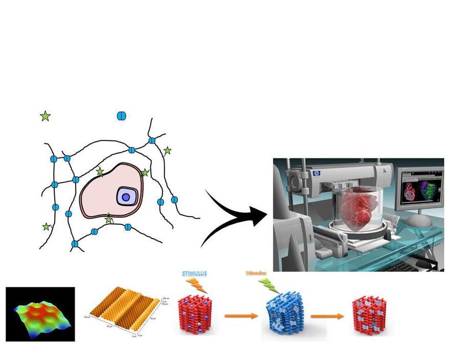 Dynamic Materials for Biofabrication