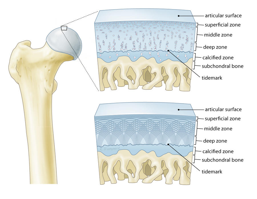 Writing with Electrospinning